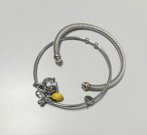 CS1740/2025 BRACELETS